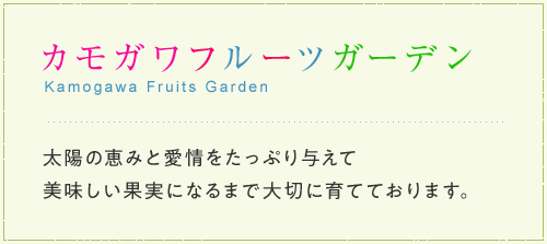 カモガワフルーツガーデン  Kamogawa Fruits Garden 太陽の恵みと愛情をたっぷり与えて 美味しい果実になるまで大切に育てております。